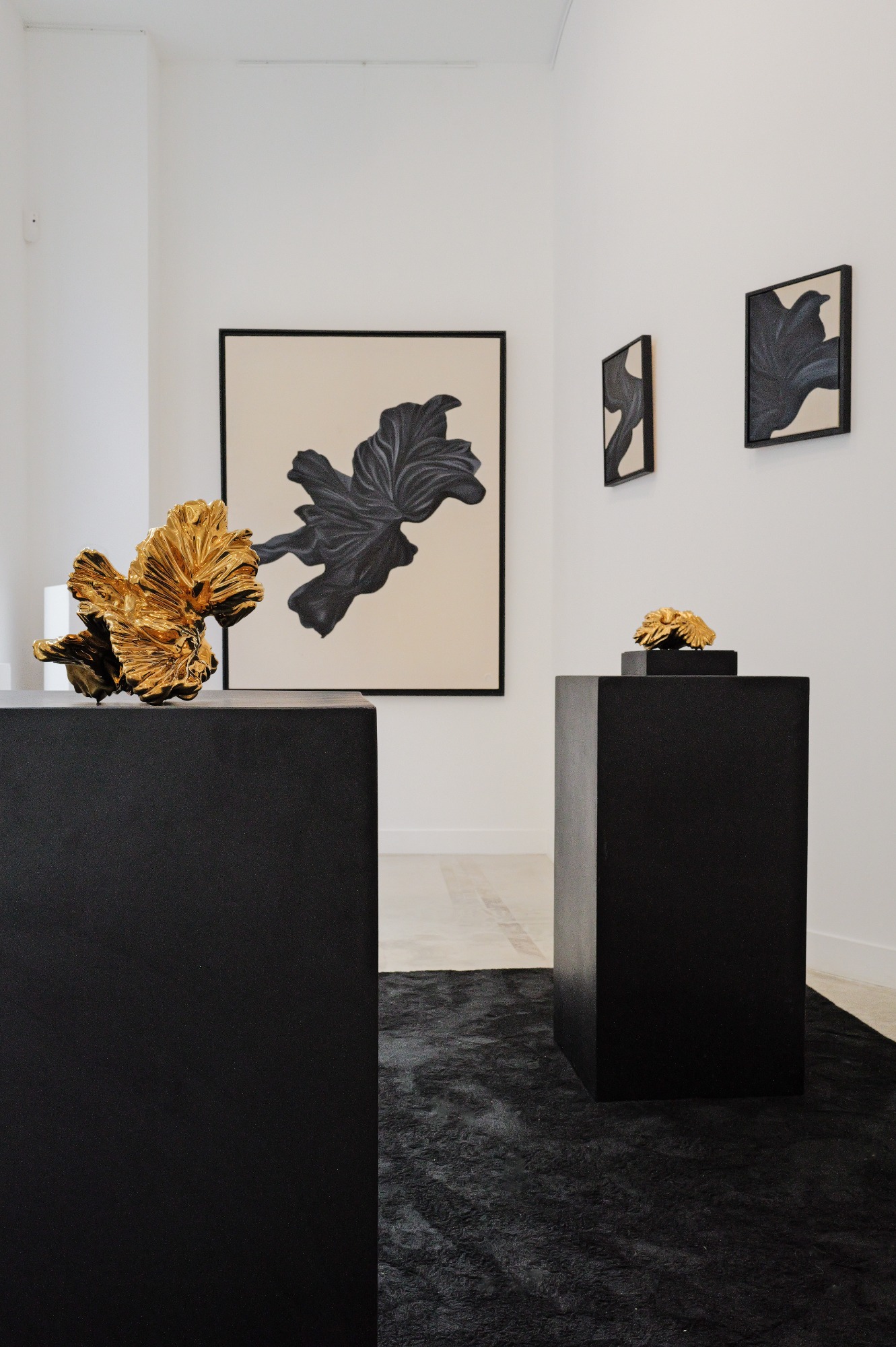 Accrochage de l'exposition "En Mouvement" d'Ophelia Jacarini, H.D Galerie, 45 Rue Vivienne, Paris 2, Mai 2026 Accrochage de l'exposition "En Mouvement" d'Ophelia Jacarini, H.D Galerie, 45 Rue Vivienne, Paris 2, Mai 2026